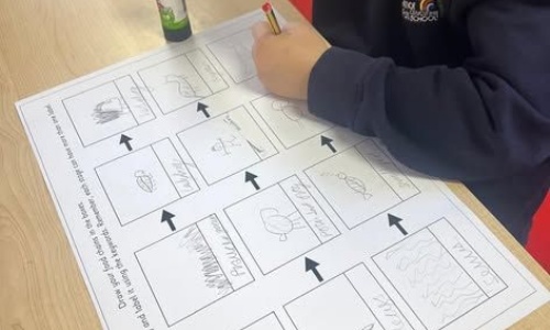 News &raquo; Year 4 Food Chains